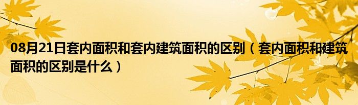 08月21日套内面积和套内建筑面积的区别（套内面积和建筑面积的区别是什么）