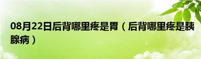 08月22日后背哪里疼是胃（后背哪里疼是胰腺病）