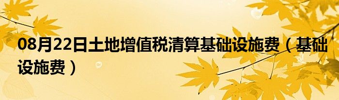 08月22日土地增值税清算基础设施费（基础设施费）