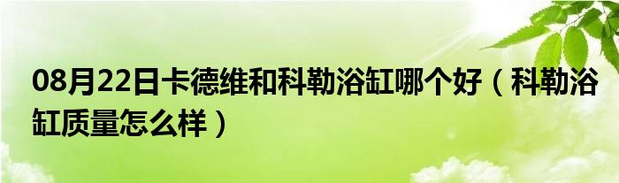 08月22日卡德维和科勒浴缸哪个好（科勒浴缸质量怎么样）