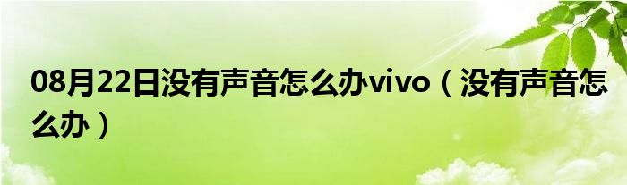 08月22日没有声音怎么办vivo（没有声音怎么办）