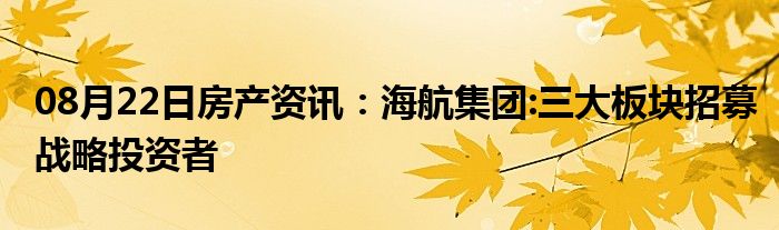 08月22日房产资讯：海航集团:三大板块招募战略投资者