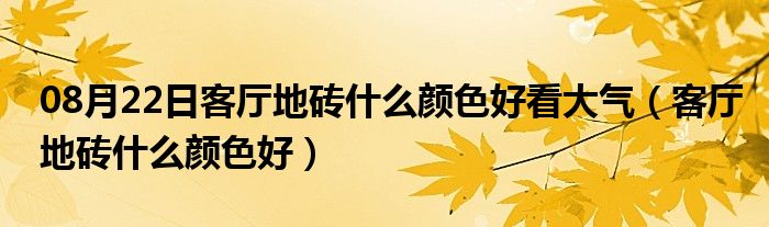 08月22日客厅地砖什么颜色好看大气（客厅地砖什么颜色好）