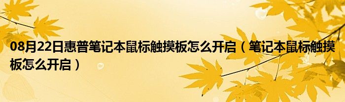 08月22日惠普笔记本鼠标触摸板怎么开启（笔记本鼠标触摸板怎么开启）