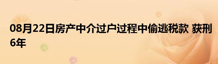 08月22日房产中介过户过程中偷逃税款 获刑6年