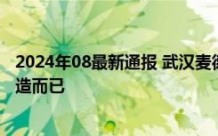 2024年08最新通报 武汉麦德龙超市回应被传停业 是升级改造而已