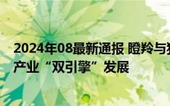 2024年08最新通报 瞪羚与独角兽齐飞：中共中央力推新兴产业“双引擎”发展