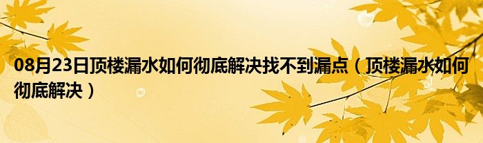 08月23日顶楼漏水如何彻底解决找不到漏点（顶楼漏水如何彻底解决）