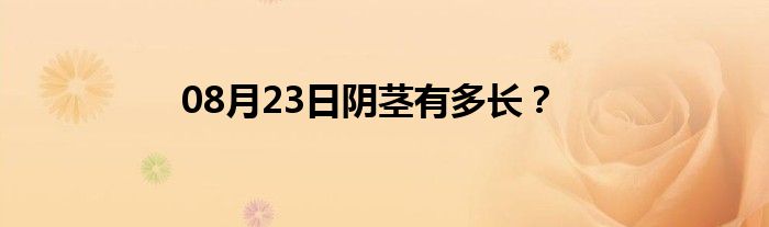 08月23日阴茎有多长？