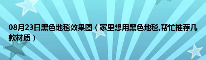 08月23日黑色地毯效果图（家里想用黑色地毯,帮忙推荐几款材质）