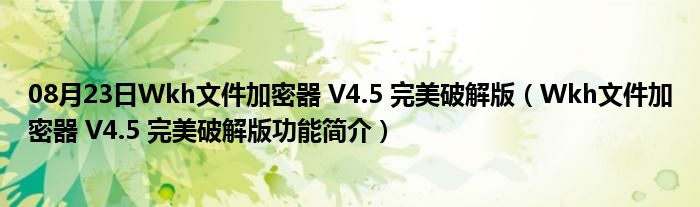 08月23日Wkh文件加密器 V4.5 完美破解版（Wkh文件加密器 V4.5 完美破解版功能简介）