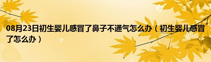 08月23日初生婴儿感冒了鼻子不通气怎么办（初生婴儿感冒了怎么办）