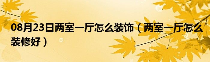 08月23日两室一厅怎么装饰（两室一厅怎么装修好）