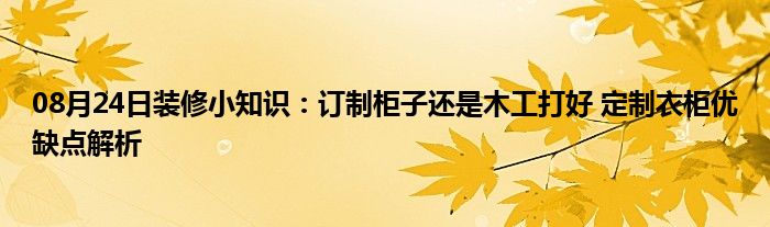 08月24日装修小知识：订制柜子还是木工打好 定制衣柜优缺点解析