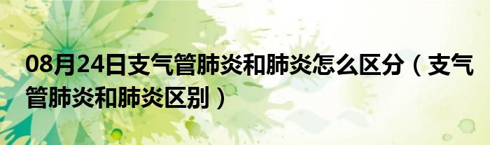 08月24日支气管肺炎和肺炎怎么区分（支气管肺炎和肺炎区别）