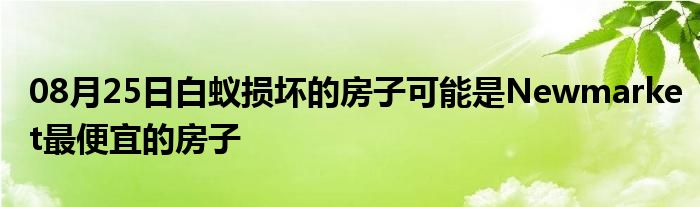 08月25日白蚁损坏的房子可能是Newmarket最便宜的房子