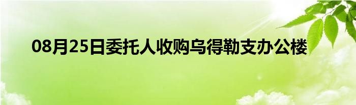 08月25日委托人收购乌得勒支办公楼