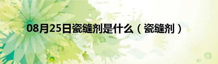 08月25日瓷缝剂是什么（瓷缝剂）