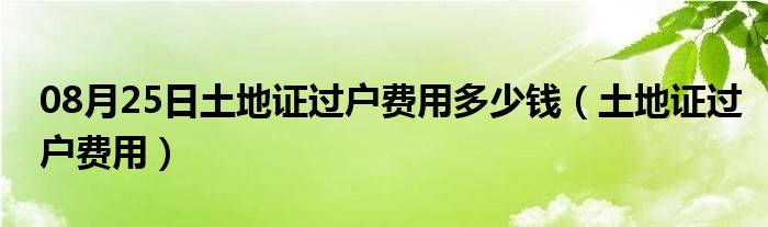 08月25日土地证过户费用多少钱（土地证过户费用）