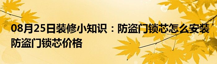 08月25日装修小知识：防盗门锁芯怎么安装防盗门锁芯价格