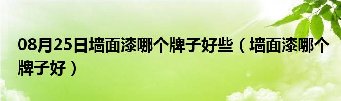 08月25日墙面漆哪个牌子好些（墙面漆哪个牌子好）