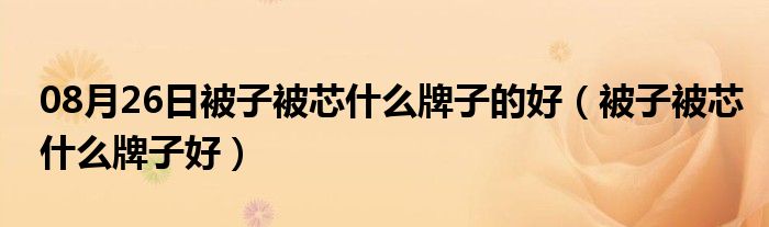 08月26日被子被芯什么牌子的好（被子被芯什么牌子好）