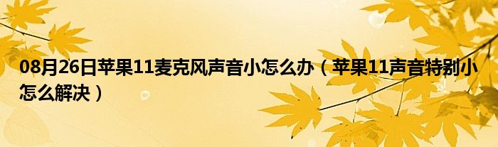 08月26日苹果11麦克风声音小怎么办（苹果11声音特别小怎么解决）