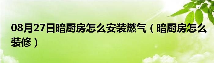 08月27日暗厨房怎么安装燃气（暗厨房怎么装修）