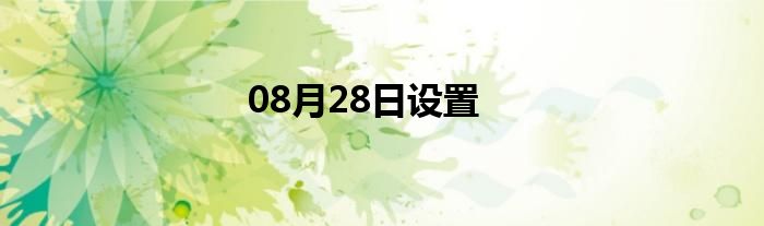 08月28日设置