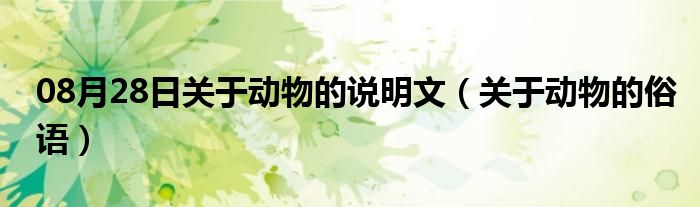 08月28日关于动物的说明文（关于动物的俗语）