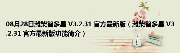 08月28日潍柴智多星 V3.2.31 官方最新版（潍柴智多星 V3.2.31 官方最新版功能简介）