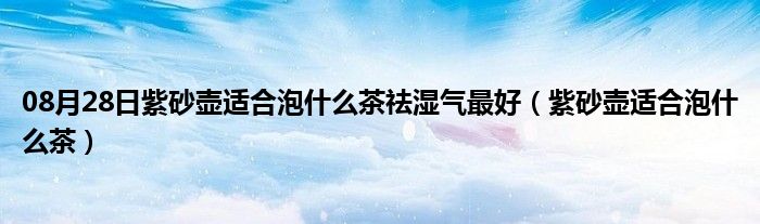 08月28日紫砂壶适合泡什么茶祛湿气最好（紫砂壶适合泡什么茶）