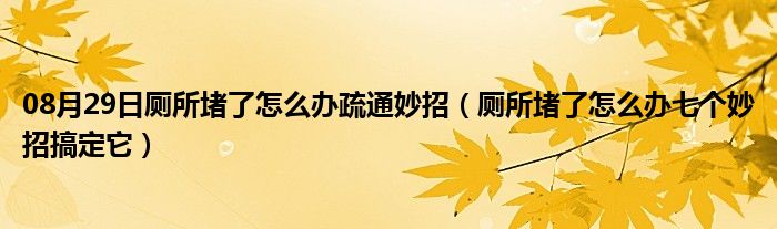 08月29日厕所堵了怎么办疏通妙招（厕所堵了怎么办七个妙招搞定它）