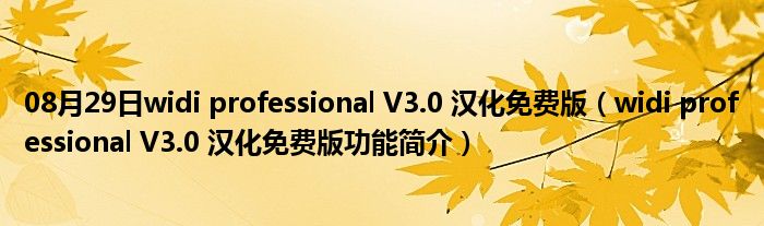 08月29日widi professional V3.0 汉化免费版（widi professional V3.0 汉化免费版功能简介）