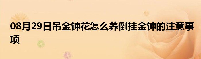 08月29日吊金钟花怎么养倒挂金钟的注意事项