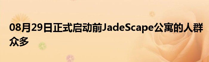 08月29日正式启动前JadeScape公寓的人群众多