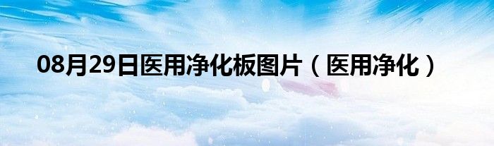 08月29日医用净化板图片（医用净化）