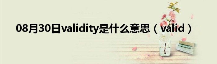 08月30日validity是什么意思（valid）