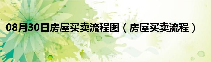 08月30日房屋买卖流程图（房屋买卖流程）