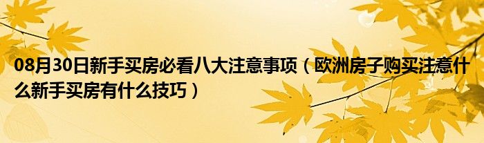 08月30日新手买房必看八大注意事项（欧洲房子购买注意什么新手买房有什么技巧）