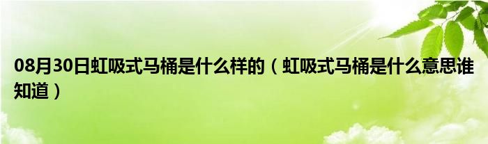 08月30日虹吸式马桶是什么样的（虹吸式马桶是什么意思谁知道）