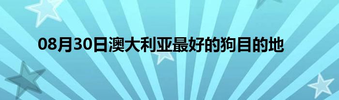 08月30日澳大利亚最好的狗目的地