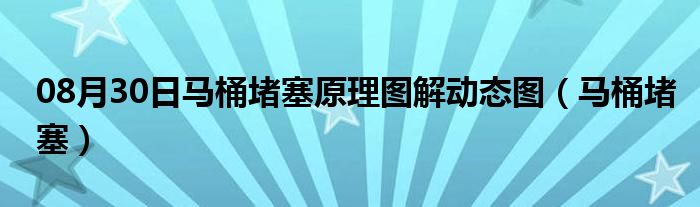 08月30日马桶堵塞原理图解动态图（马桶堵塞）