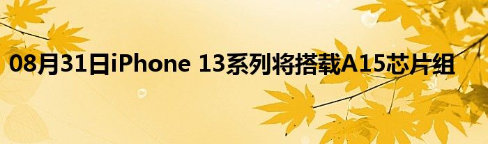 08月31日iPhone 13系列将搭载A15芯片组