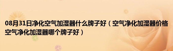 08月31日净化空气加湿器什么牌子好（空气净化加湿器价格空气净化加湿器哪个牌子好）