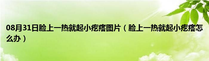 08月31日脸上一热就起小疙瘩图片（脸上一热就起小疙瘩怎么办）