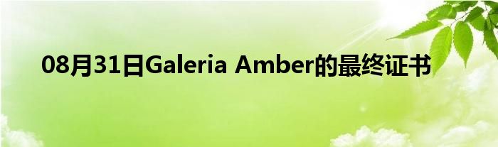 08月31日Galeria Amber的最终证书