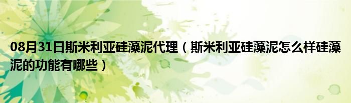 08月31日斯米利亚硅藻泥代理（斯米利亚硅藻泥怎么样硅藻泥的功能有哪些）