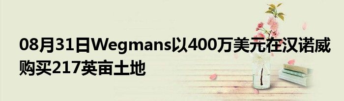 08月31日Wegmans以400万美元在汉诺威购买217英亩土地