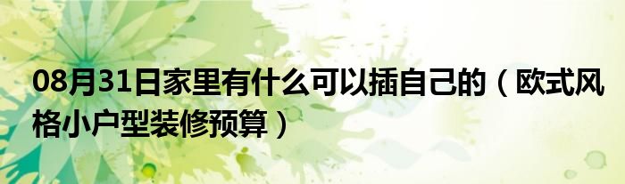 08月31日家里有什么可以插自己的（欧式风格小户型装修预算）